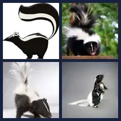 4 Pics 1 Word Level 2089