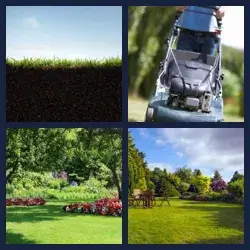 4 Pics 1 Word Level 2103