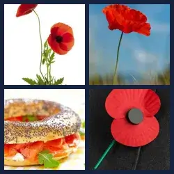 4 Pics 1 Word Level 2112