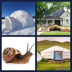 4 Pics 1 Word Level 2118