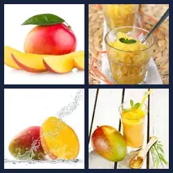 4 Pics 1 Word Level 2122