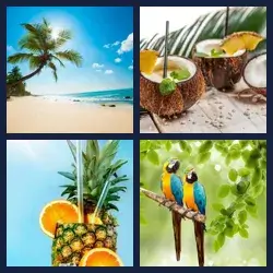 4 Pics 1 Word Level 2138