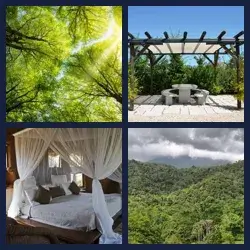 4 Pics 1 Word Level 2143