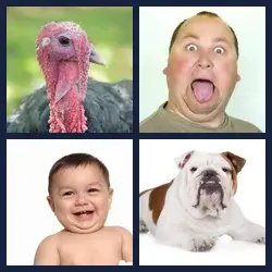 4 Pics 1 Word Level 2145