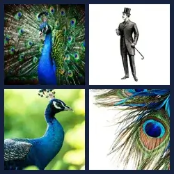 4 Pics 1 Word Level 2150