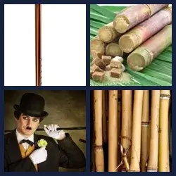 4 Pics 1 Word Level 2157