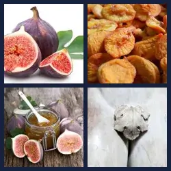 4 Pics 1 Word Level 2158