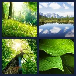 4 Pics 1 Word Level 2169