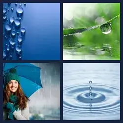 4 Pics 1 Word Level 2177