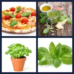 4 Pics 1 Word Level 2189