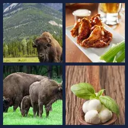 4 Pics 1 Word Level 2191