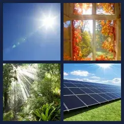 4 Pics 1 Word Level 2196