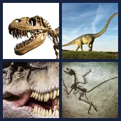 4 Pics 1 Word Level 2213