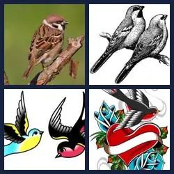 4 Pics 1 Word Level 2221