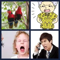 4 Pics 1 Word Level 2226