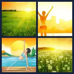 4 Pics 1 Word Level 2241