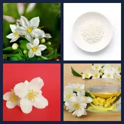 4 Pics 1 Word Level 2254