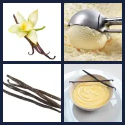 4 Pics 1 Word Level 2255