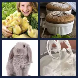 4 Pics 1 Word Level 2263