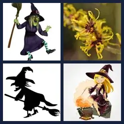 4 Pics 1 Word Level 2287