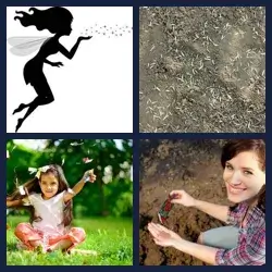 4 Pics 1 Word Level 2298