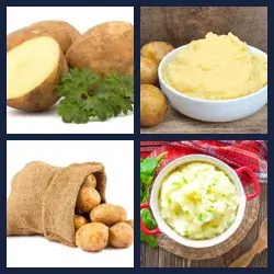 4 Pics 1 Word Level 2302