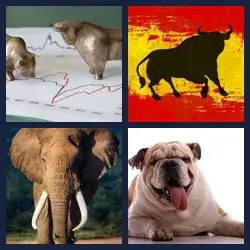 4 Pics 1 Word Level 2314