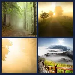 4 Pics 1 Word Level 2319