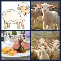 4 Pics 1 Word Level 2333