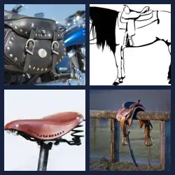 4 Pics 1 Word Level 2362