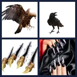 4 Pics 1 Word Level 2365