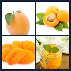 4 Pics 1 Word Level 2366