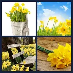 4 Pics 1 Word Level 2385