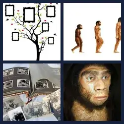 4 Pics 1 Word Level 2393