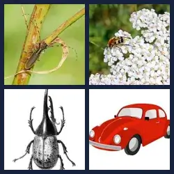 4 Pics 1 Word Level 2394