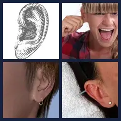 4 Pics 1 Word Level 2408