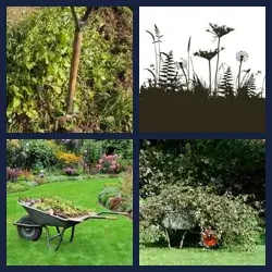 4 Pics 1 Word Level 2412