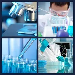 4 Pics 1 Word Level 2416