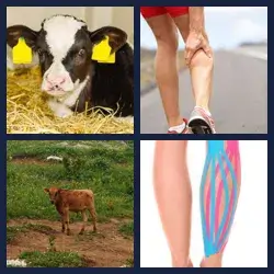 4 Pics 1 Word Level 2425