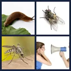 4 Pics 1 Word Level 2433