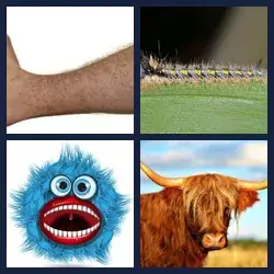 4 Pics 1 Word Level 2434