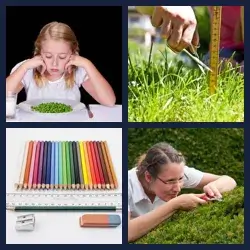 4 Pics 1 Word Level 2442