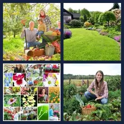 4 Pics 1 Word Level 2445