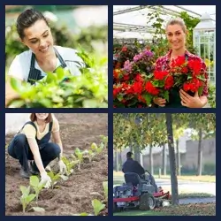 4 Pics 1 Word Level 2446