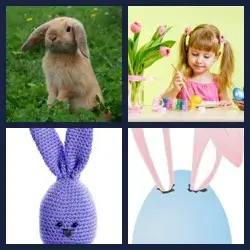 4 Pics 1 Word Level 2449