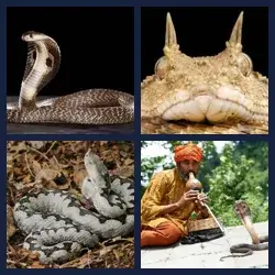 4 Pics 1 Word Level 2451