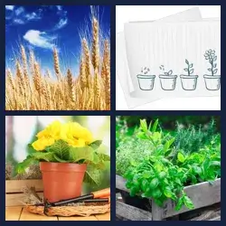 4 Pics 1 Word Level 2454