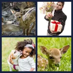 4 Pics 1 Word Level 2460