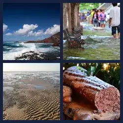 4 Pics 1 Word Level 2479