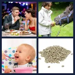 4 Pics 1 Word Level 2497